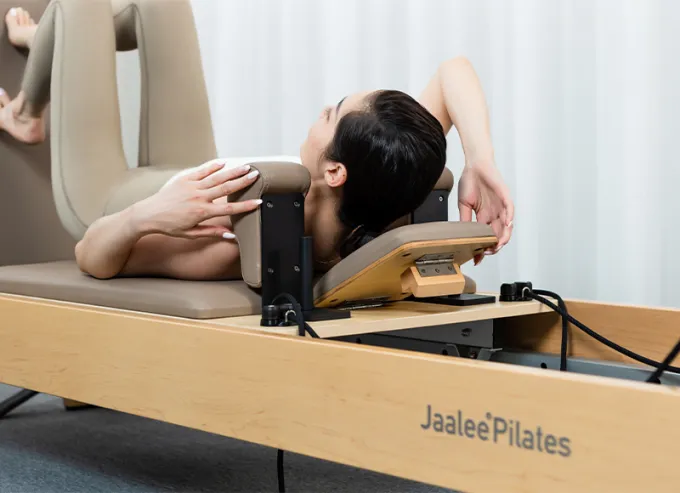 Maple Tree Reformer